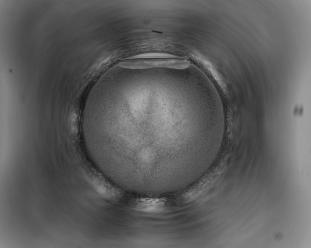 X0000100380161200806061227