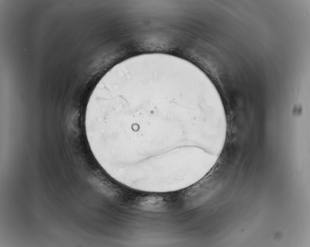X0000100380162200806061227