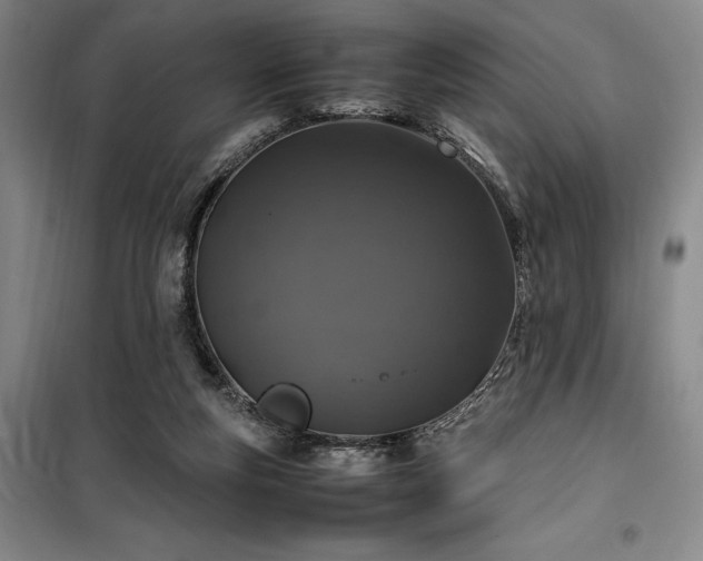 X0000100380163200806061227