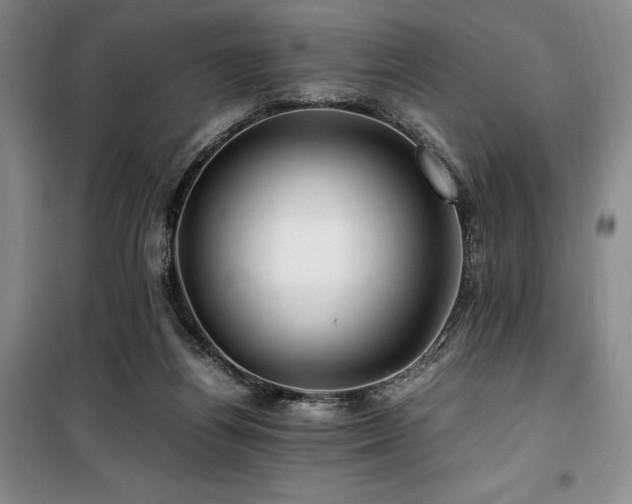 X0000100380164200806061227