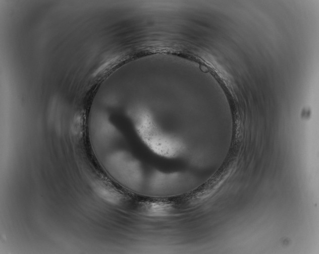 X0000100380165200806061227