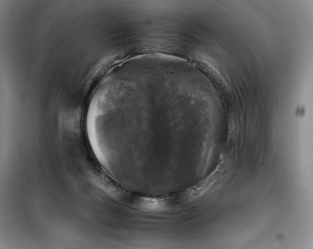 X0000100380167200806061227