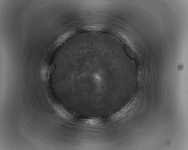 X0000100380168200806061227