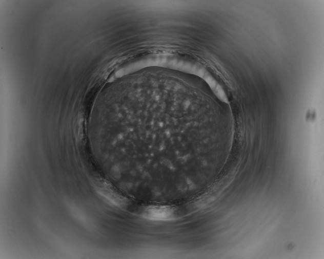 X0000100380169200806061227