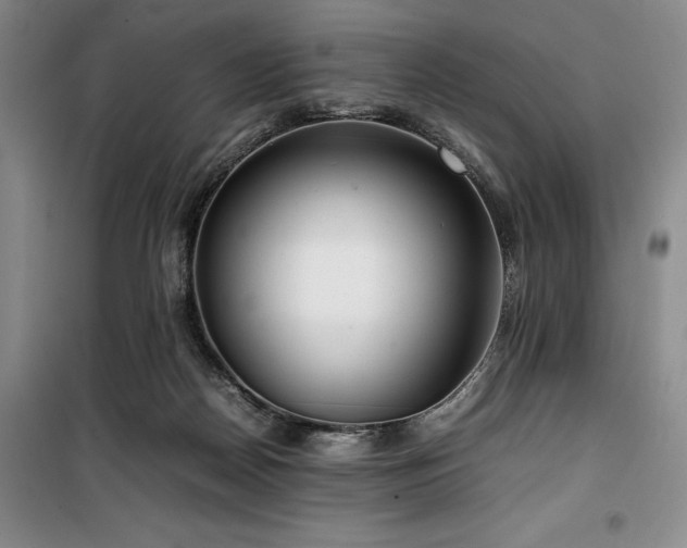 X0000100380170200806061227