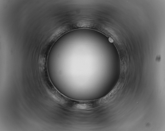 X0000100380171200806061227