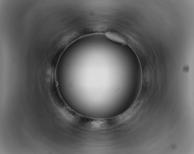 X0000100380172200806061227