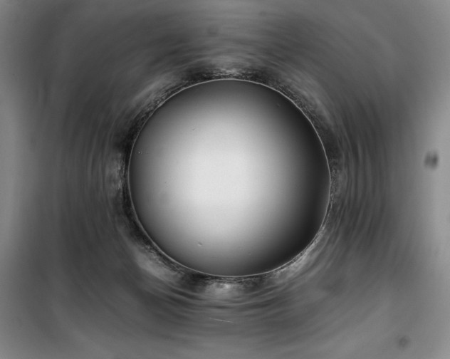 X0000100380174200806061227