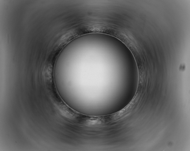 X0000100380175200806061227