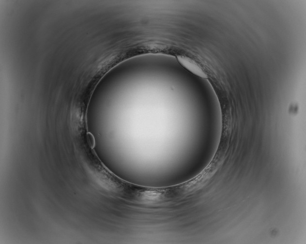 X0000100380176200806061227