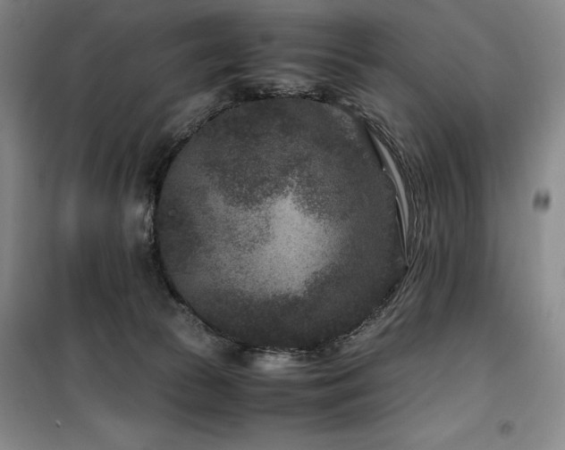 X0000100380177200806061227