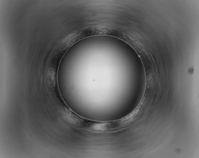 X0000100380178200806061227