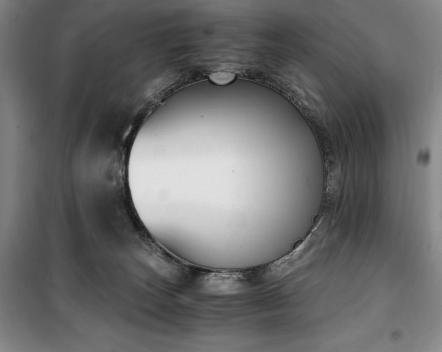 X0000100380179200806061227