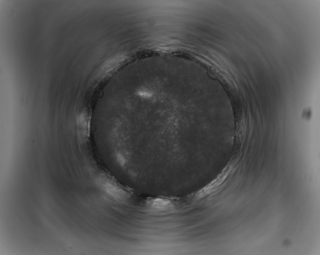 X0000100380180200806061227