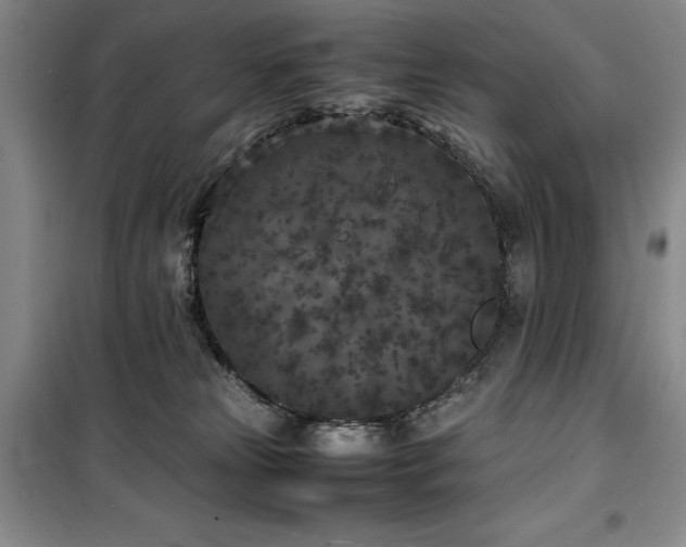 X0000100380181200806061227