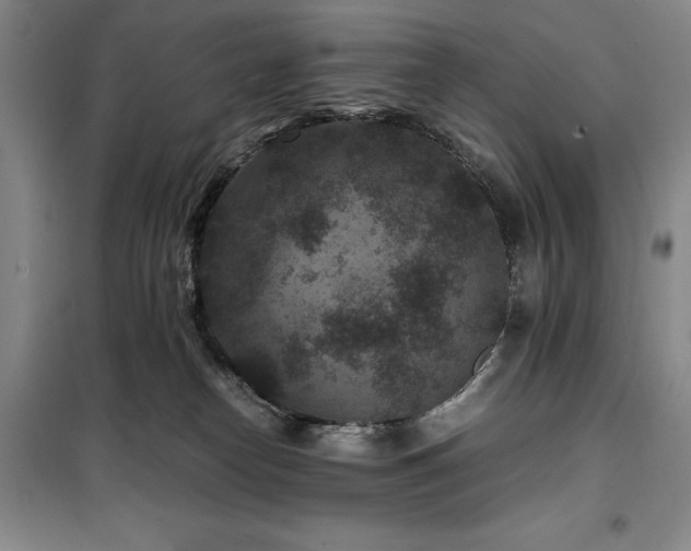 X0000100380182200806061227