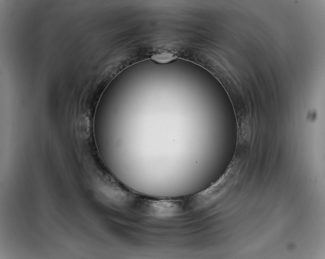 X0000100380183200806061227