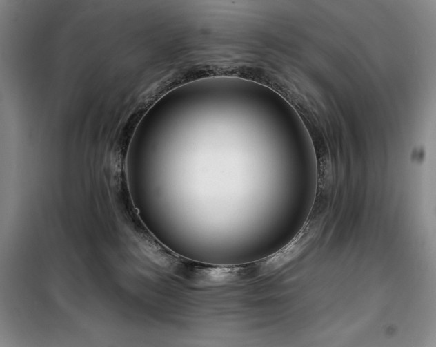 X0000100380184200806061227