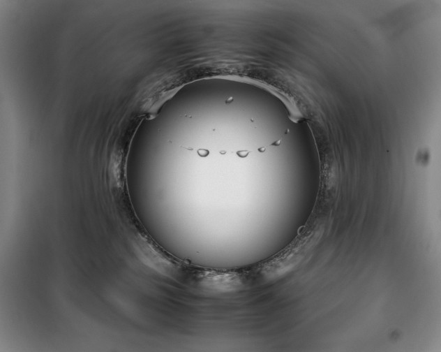 X0000100380185200806061227