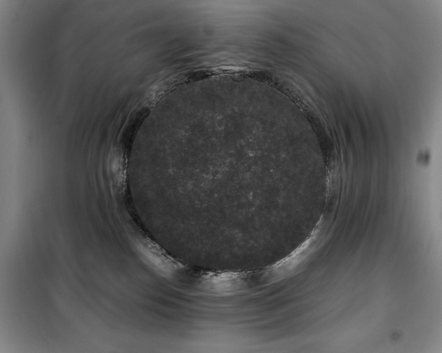 X0000100380186200806061227