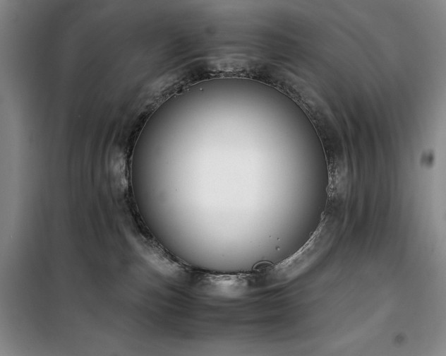 X0000100380187200806061227