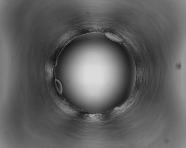 X0000100380188200806061227