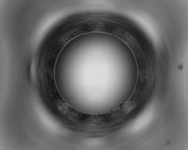 X0000100380189200806061227