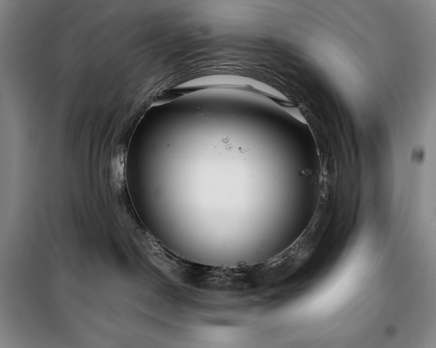 X0000100380190200806061227