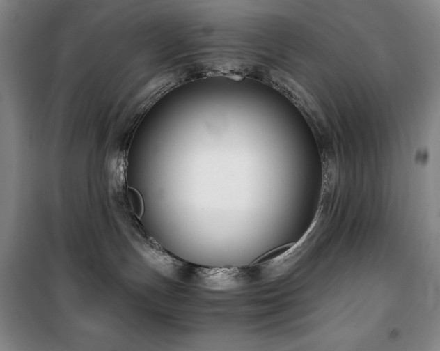 X0000100380191200806061227