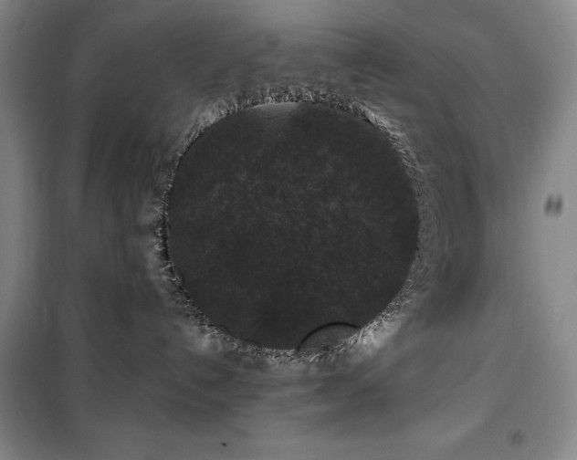X0000100380192200806061227