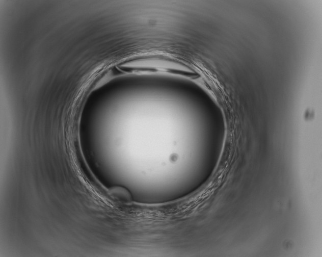 X0000100380193200806061226