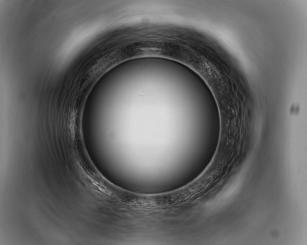 X0000100380194200806061226