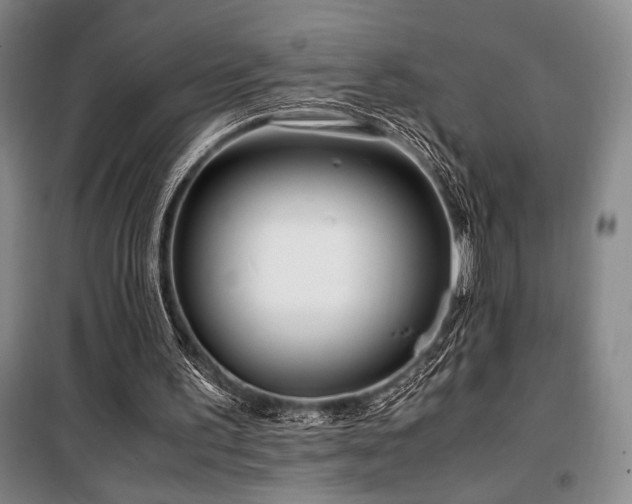 X0000100380195200806061226