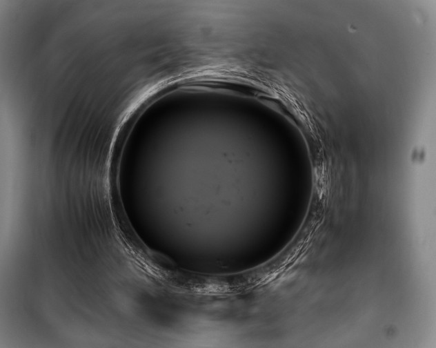 X0000100380196200806061226