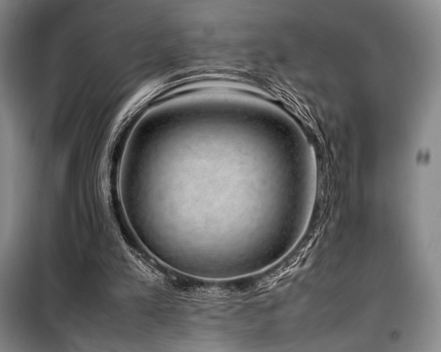 X0000100380197200806061226