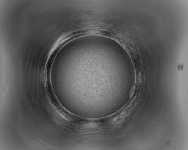 X0000100380198200806061226