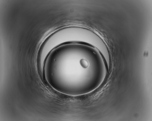 X0000100380199200806061226