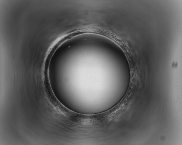 X0000100380200200806061226