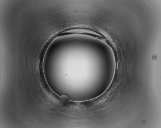 X0000100380201200806061226
