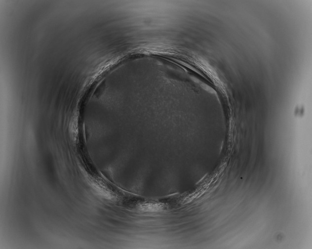 X0000100380202200806061226