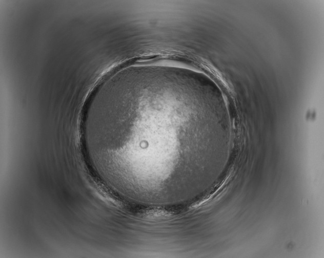 X0000100380203200806061226