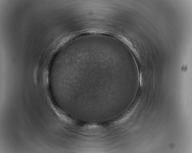 X0000100380205200806061226