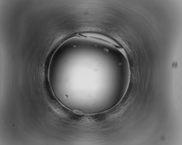 X0000100380207200806061226