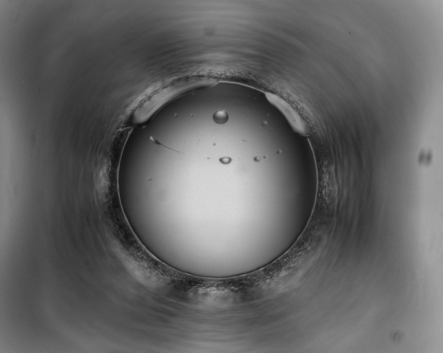 X0000100380208200806061226