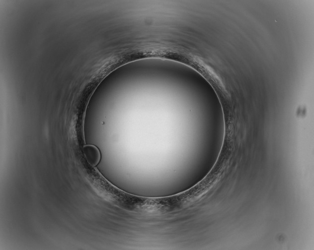 X0000100380209200806061226