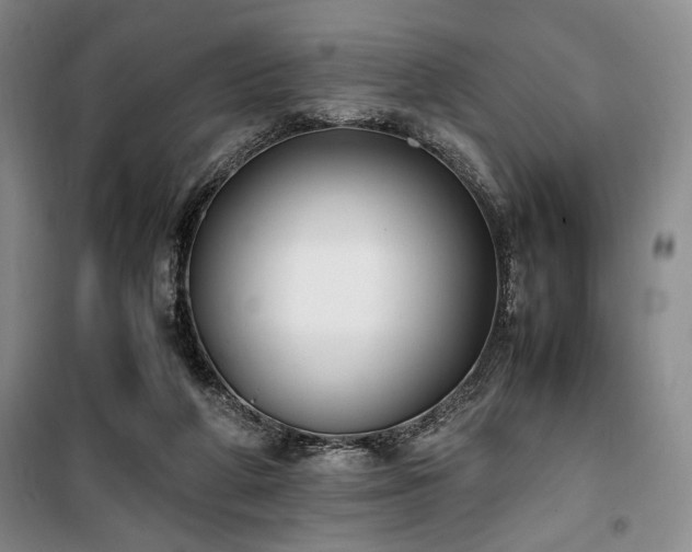 X0000100380210200806061226