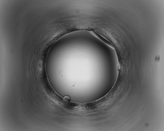 X0000100380211200806061226