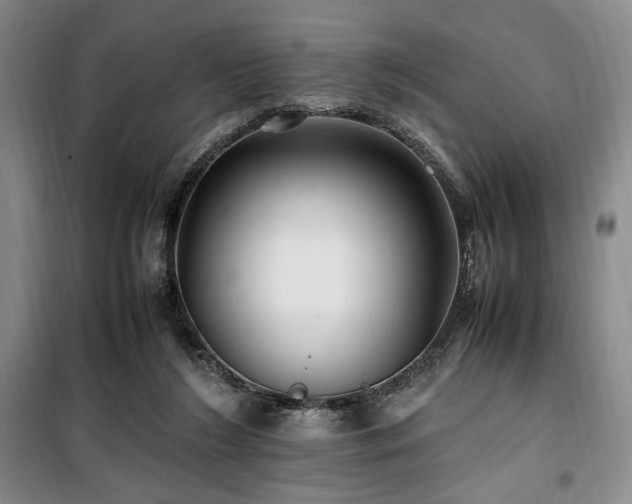 X0000100380212200806061226