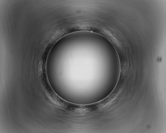 X0000100380213200806061226