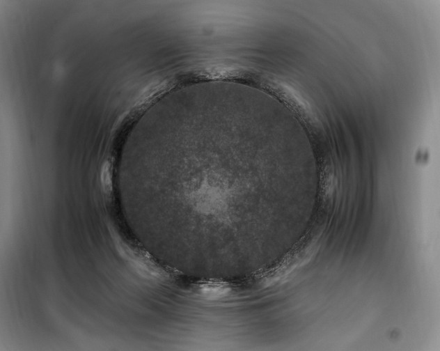 X0000100380214200806061226